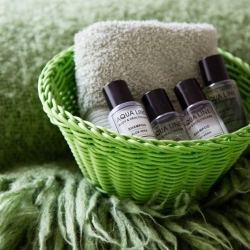 Koriander bed en breakfast veurne