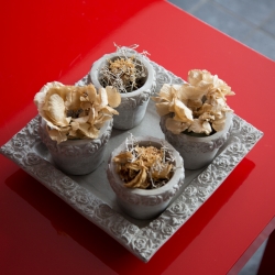 schalienhof bed en breakfast aan de kust veurne koksijde nieuwpoort de panne